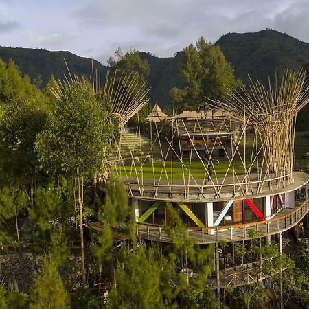 Pagupon Bromo Budget Lodge Esterno foto