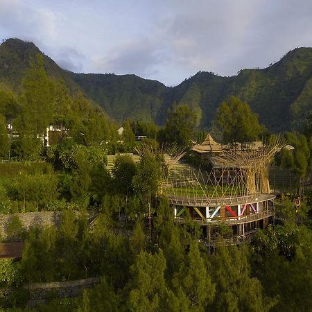 Pagupon Bromo Budget Lodge Esterno foto