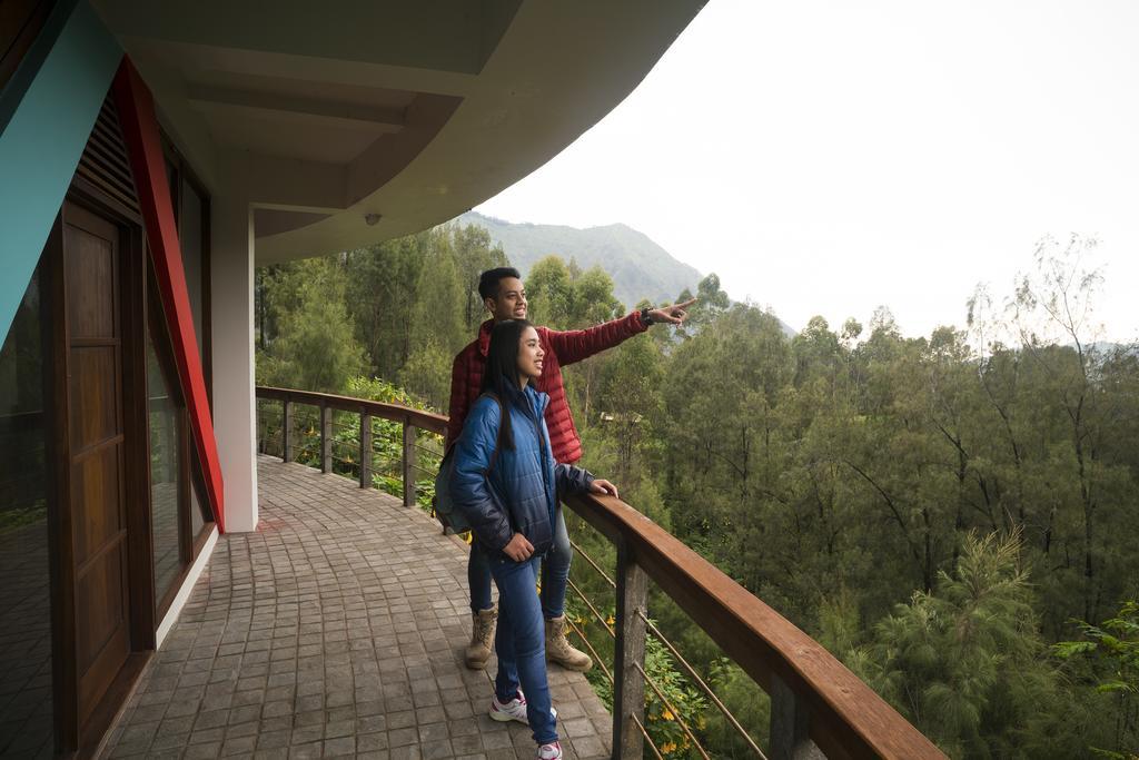 Pagupon Bromo Budget Lodge Esterno foto
