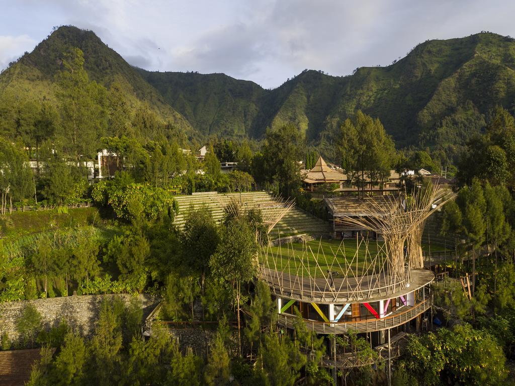 Pagupon Bromo Budget Lodge Esterno foto